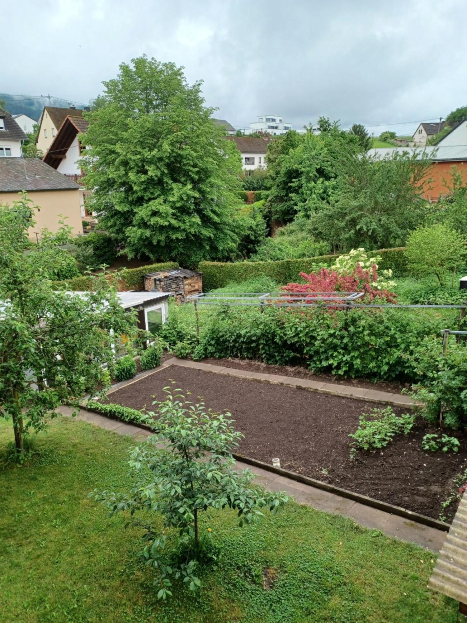 Gaestehaus Bausch Mehring  Esterno foto